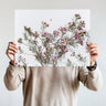 Geraldton Wax flowers and bee photography print by Australian Flora
