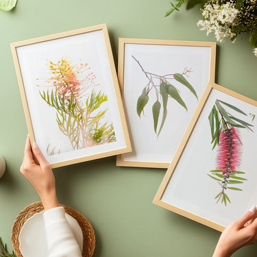 Grevillea, bottlebrush and gum leaves photography print set of 3