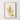 Framed: Grevillea 'Peaches and Cream'