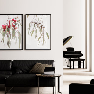 Gum nuts and eucalyptus flowers photography print set of 2