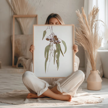 Eucalyptus caesia gum nuts wall art print in frame