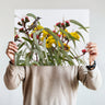 Person holding a photo of an Australian native bird on eucalyptus leaves with yellow flowers.