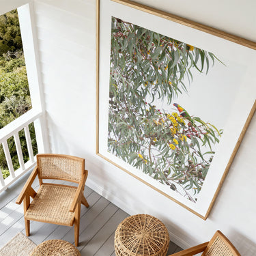 Print: Illyarrie and Rainbow Lorikeet