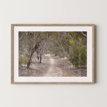 Australian bush trail landscape photography in a raw oak solid timber frame
