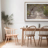 Australian bush framed landscape photography featuring neutral tones
