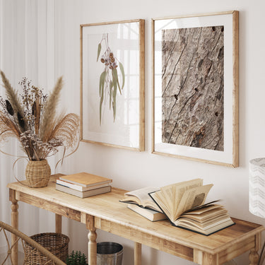 Neutral Australian gum tree bark and gum nuts photography set of 2 prints