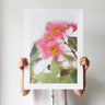 Pink flowering gum 2 photography print by Australian Flora