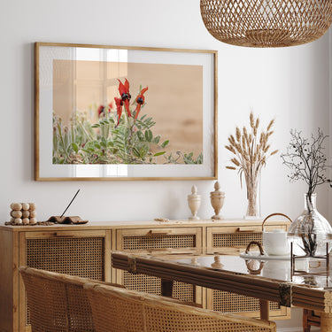 Print: Sturt's Desert Pea (Swainsona formosa)